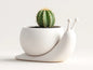 Minimalist Snail Planter | Cute 3D Printed Succulent Pot & Modern Decor